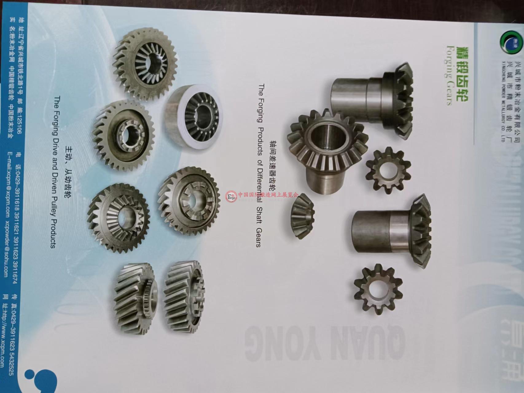 汽车差速器齿轮