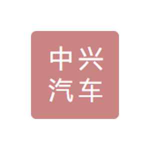 山东中兴汽车零部件有限公司