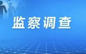 斯柯达品牌高管接受监察调查！ 