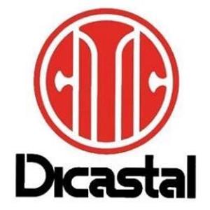 中信戴卡股份有限公司