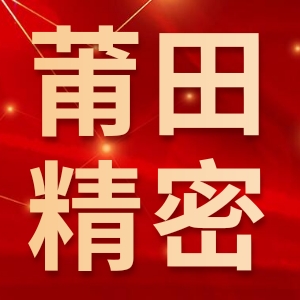 莆田市精密铸锻有限公司