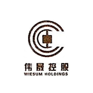 浙江伟晟控股有限公司